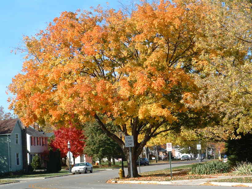 Grove City,Ohio banner