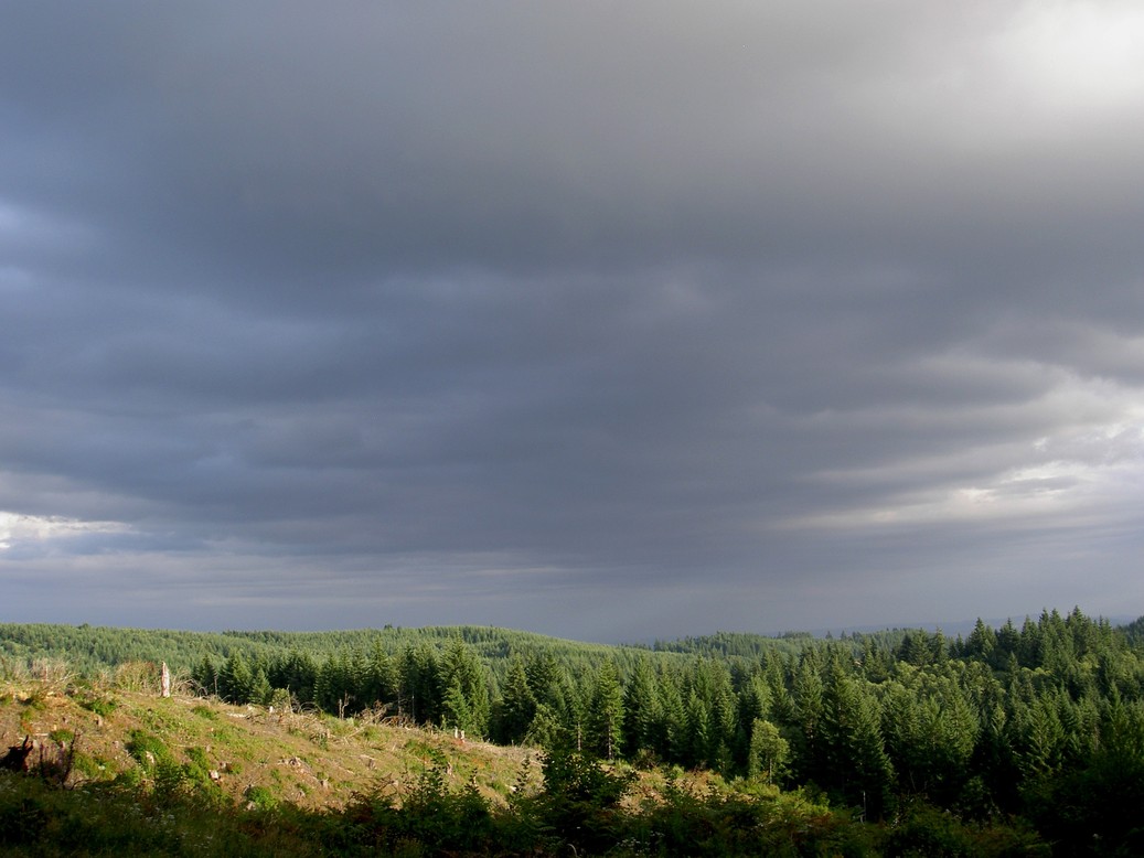 Banks,Oregon banner