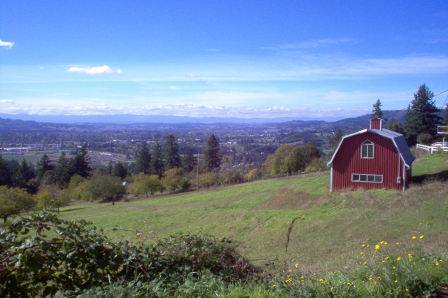 Newberg,Oregon banner