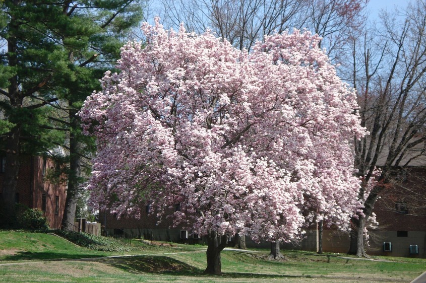 Drexel Hill,Pennsylvania banner