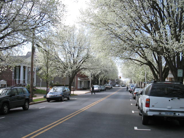 Newtown,Pennsylvania banner