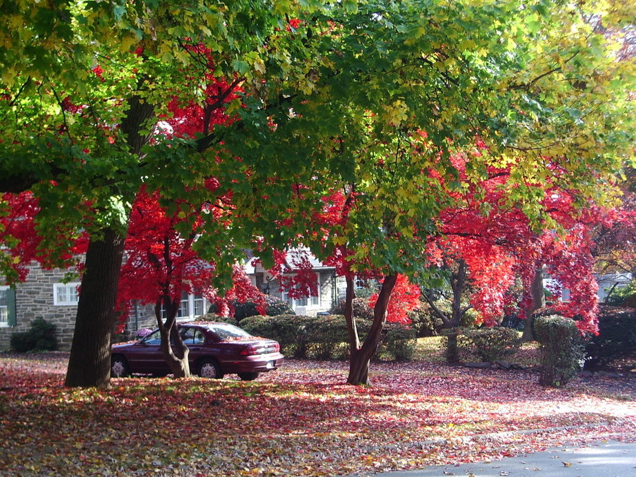 Glenside,Pennsylvania banner