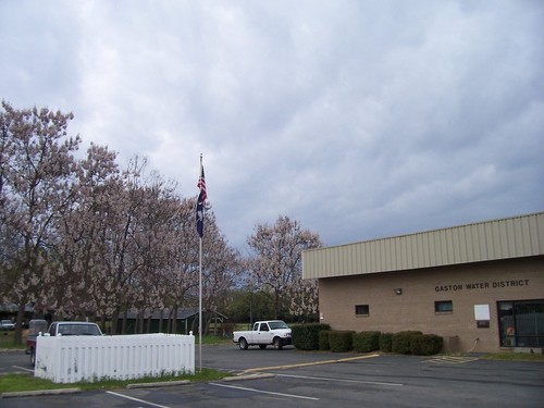 Gaston,South Carolina banner