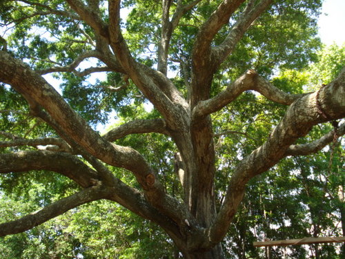 Johns Island,South Carolina banner