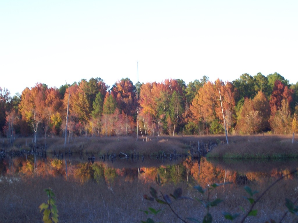 Lugoff,South Carolina banner