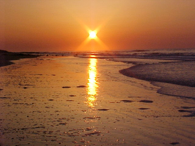 Folly Beach,South Carolina banner