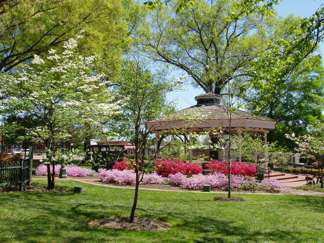 Collierville,Tennessee banner