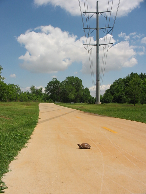 Euless,Texas banner