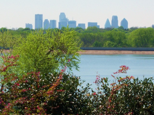 Dallas,Texas banner