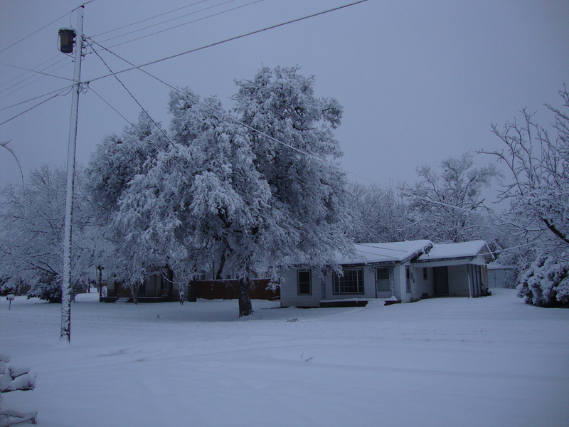 Alvarado,Texas banner