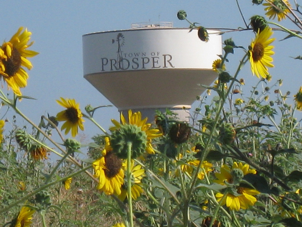 Prosper,Texas banner