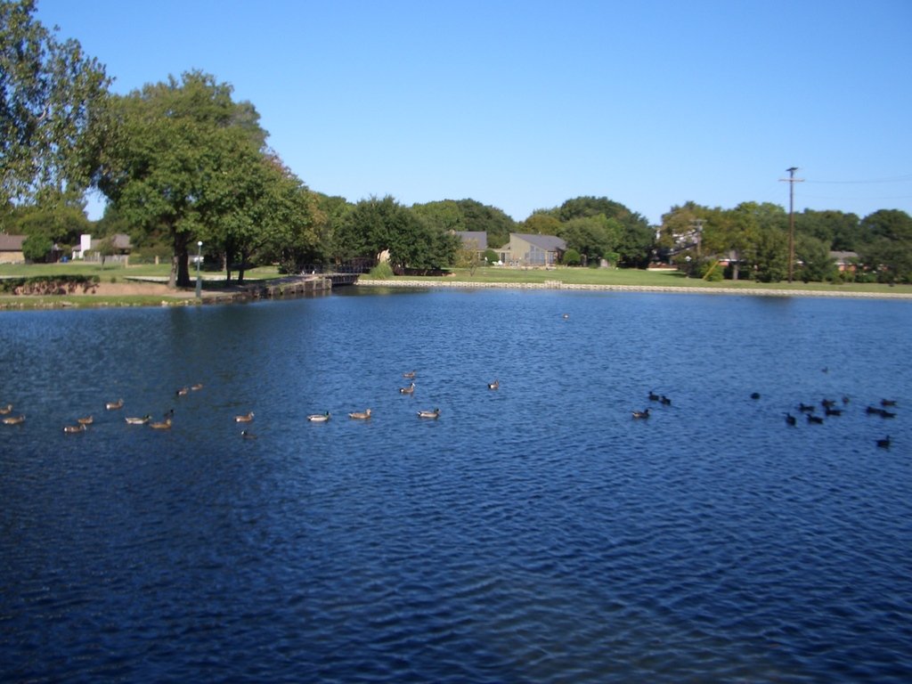 Carrollton,Texas banner