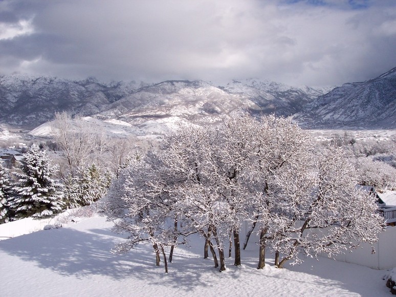 Alpine,Utah banner