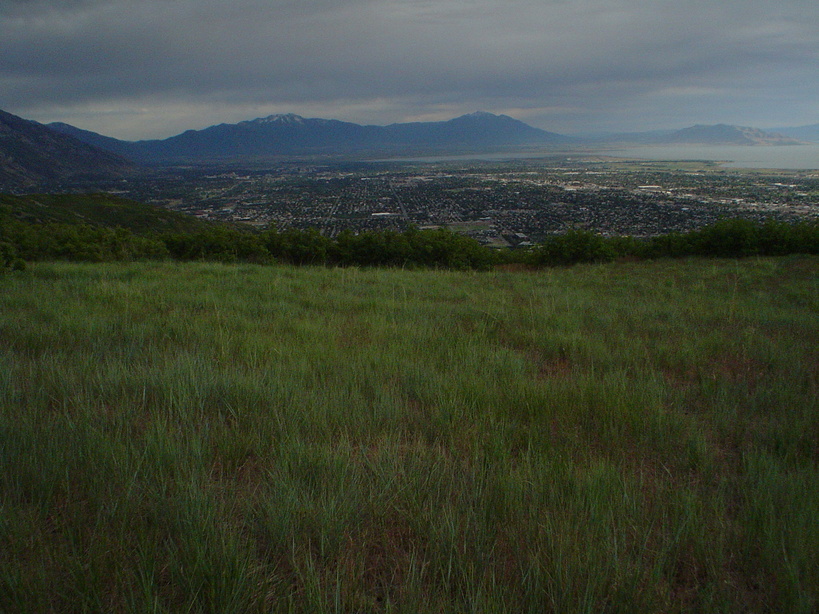 Orem,Utah banner