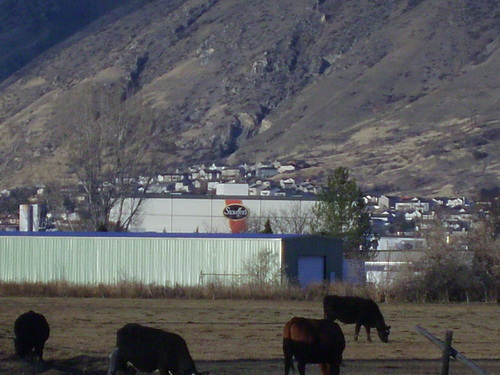 Springville,Utah banner