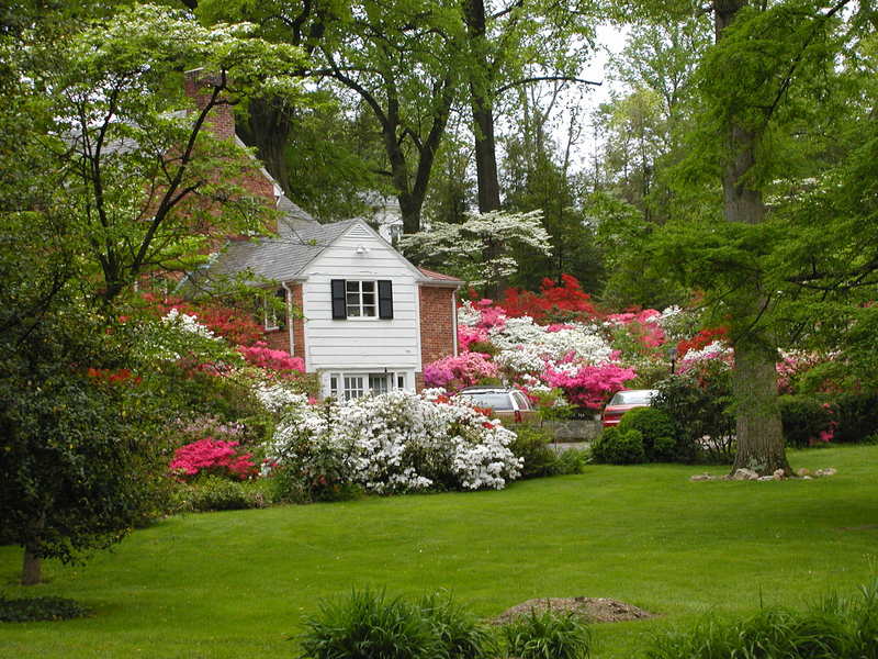 Falls Church,Virginia banner