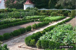 Mount Vernon,Virginia banner