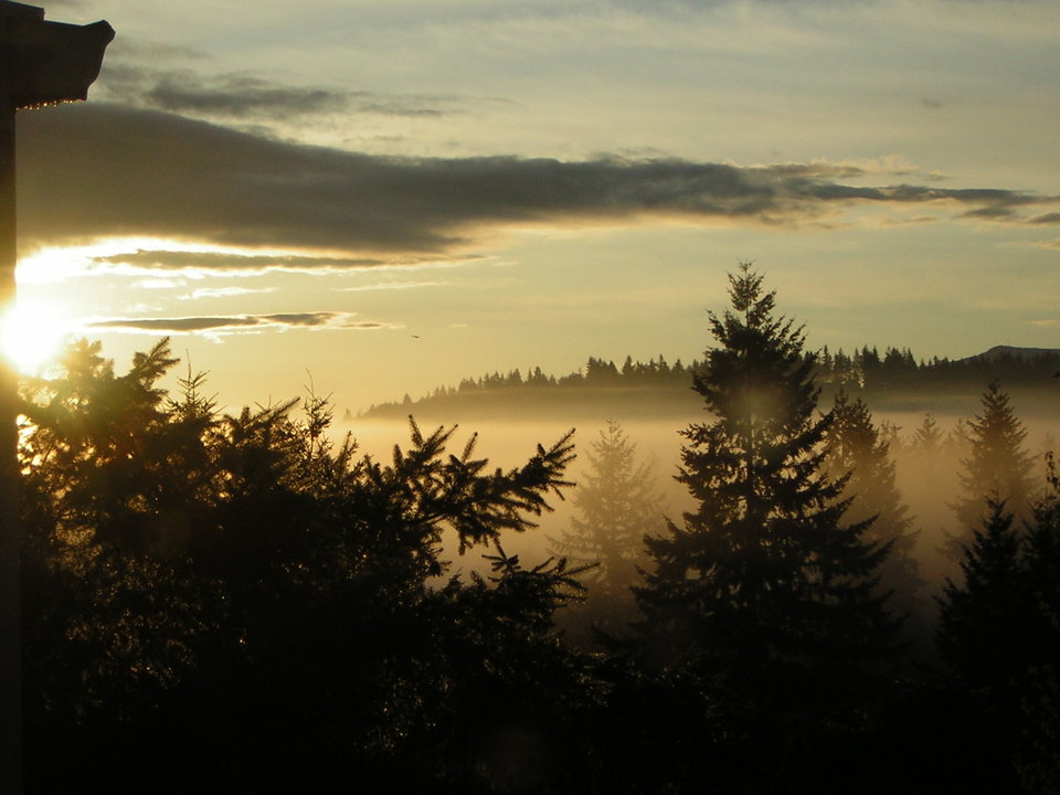 Bonney Lake,Washington banner