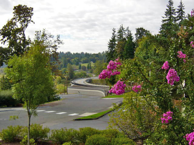 La Center,Washington banner