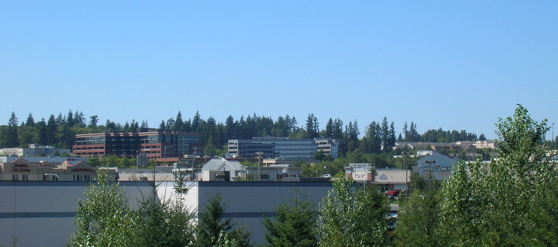 Lynnwood,Washington banner