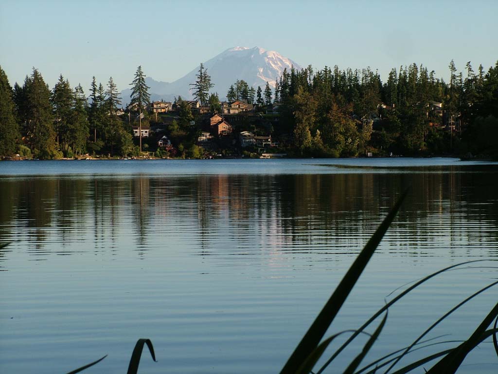 Maple Valley,Washington banner