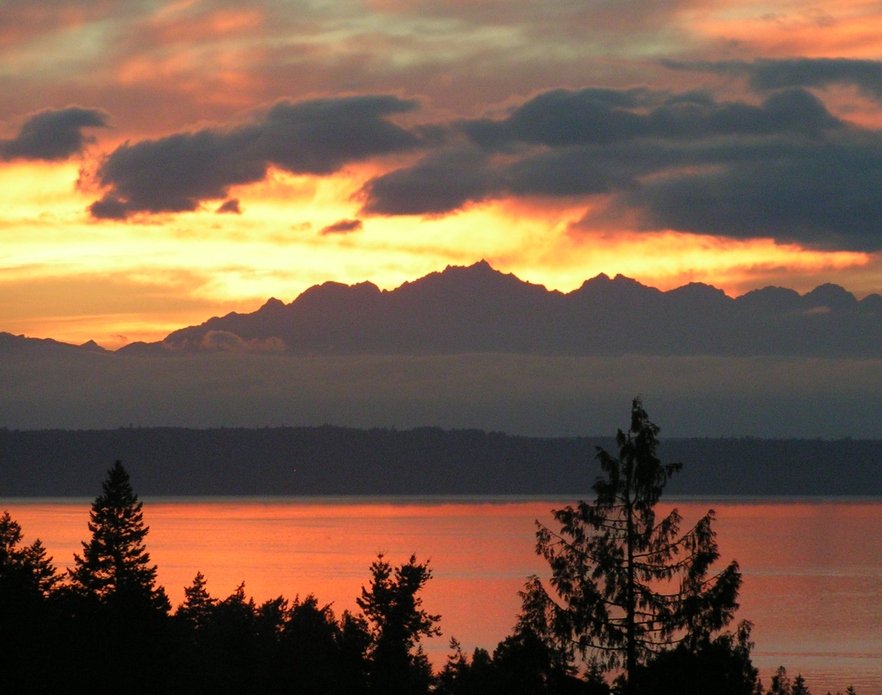 Edmonds,Washington banner