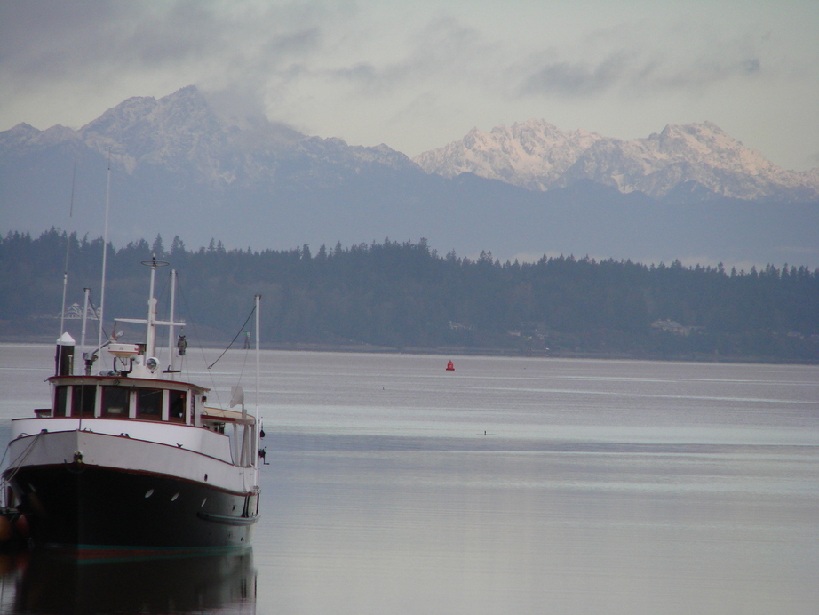 Olympia,Washington banner